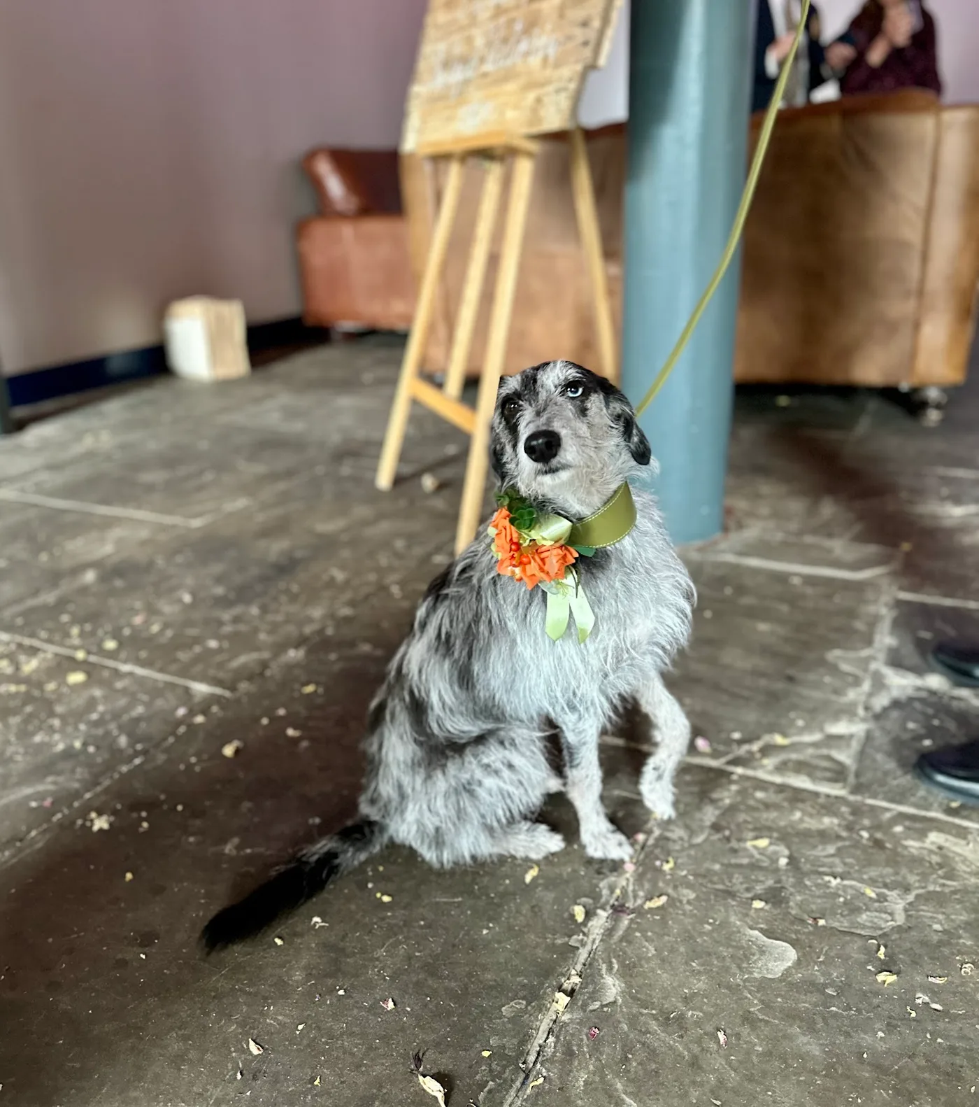 Good girl